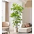 Planta Artificial Árvore Palmeira Tropical Decoração Verde 110cm - 180cm - Imagem 1