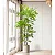 Planta Artificial Árvore Palmeira Tropical Decoração Verde 110cm - 180cm - Imagem 2
