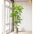 Planta Artificial Árvore Palmeira Tropical Decoração Verde 110cm - 180cm - Imagem 3