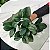 Planta Artificial Arbustos folhas de eucalipto 32cm - Imagem 10