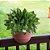 Planta Artificial Arbustos folhas de eucalipto 32cm - Imagem 1