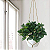 Planta Artificial Arbustos folhas de eucalipto 32cm - Imagem 2