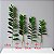 Planta Artificial Árvore Tropical Zamioculca Hastes 45cm - 65cm - Imagem 10