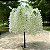 Planta Artificial Arvore De Wisteria Pendurado Para Decoração Cerejeira 100m - 180m - Imagem 3