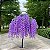 Planta Artificial Arvore De Wisteria Pendurado Para Decoração Cerejeira 100m - 180m - Imagem 15