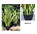 Planta Artificial Espada De São Jorge Verde 58cm - 88cm - Imagem 11