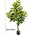Planta Artificial Arvore Grande Macieira Verde 1m - 150m - Imagem 8