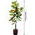 Planta Artificial Arvore Grande Macieira Verde 1m - 150m - Imagem 12
