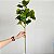 Planta Artificial De Ficus Decorativa Ramos Longos Verde 70cm - Imagem 16