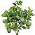 Planta Artificial De Ficus Decorativa Ramos Longos Verde 70cm - Imagem 18