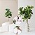 Planta Artificial De Ficus Decorativa Ramos Longos Verde 70cm - Imagem 3