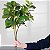 Planta Artificial De Ficus Decorativa Ramos Longos Verde 70cm - Imagem 6