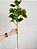 Planta Artificial De Ficus Decorativa Ramos Longos Verde 70cm - Imagem 9