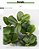 Planta Artificial De Ficus Decorativa Ramos Longos Verde 70cm - Imagem 8