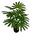 Planta Artificial Palmeira tropical Verde 28cm - 78cm - Imagem 13