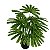Planta Artificial Palmeira tropical Verde 28cm - 78cm - Imagem 4