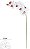 Haste Orquidea Phalaenopsis Real Toque X9 Branco Beauty 96cm - Imagem 1