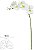 Haste Orquidea Phalaenopsis Real Toque X6 Branco Verde 82cm - Imagem 1