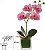 Haste Orquidea Phalaenopsis Real Toque C/Vaso De Vidro Rosa 23cm - Imagem 1