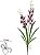 Haste Orquidea Spider C/Coat C/Folha X13 Purpura 85cm - Imagem 1
