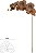 Haste Orquidea Phalaenopsis C/Coat Microp. X8 Chocolate 80cm - Imagem 1