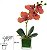 Haste Orquidea Phalaenopsis Real Toque C/Vaso De Vidro Laranja 23cm - Imagem 1