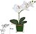 Haste Orquidea Phalaenopsis Real Toque C/Vaso De Vidro Branco Amarelo 23cm - Imagem 1