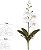 Haste Orquidea Phalaenopsis Real Toque C/Folha X4 Branco 29cm - Imagem 1