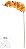 Haste Orquidea Phalaenopsis Real Toque X9 Laranja 96cm - Imagem 1