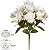 Buque Rosa Orquidea Cymbidium X10 Creme Outono 43cm - Imagem 1