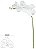 Haste Orquidea Phalaenopsis Real Toque X6 Branco Puro 82cm - Imagem 1