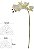 Haste Orquidea Phalaenopsis Real Toque X6 Branco BD. Amarelo 69cm - Imagem 1