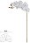 Haste Orquidea Phalaenopsis C/Coat Microp. X8 Branco Puro 80cm - Imagem 1