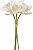 Buque Orquidea Cymbidium Ramalhete C/ Fita Real Toque X3 Creme 23cm - Imagem 1
