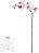 Haste Orquidea Phalaenopsis Real Toque X5 Branco Beauty 65cm - Imagem 1
