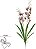 Haste Orquidea Spider C/Coat C/Folha X13 Vermelho 85cm - Imagem 1