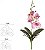 Haste Orquidea Phalaenopsis Real Toque C/Folha X4 Beauty Creme 29cm - Imagem 1