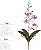 Haste Orquidea Phalaenopsis Real Toque C/Folha X4 Branco Beauty 29cm - Imagem 1