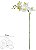 Haste Orquidea Phalaenopsis Real Toque X5 Branco Verde 65cm - Imagem 1
