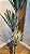 Planta Artificial Arvore Yucca X100 Verde 1,6m - Imagem 11