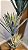 Planta Artificial Arvore Yucca X100 Verde 1,6m - Imagem 7