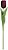 Haster Tulipa Cetim Marsala 63cm - Imagem 1
