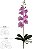 Haste Orquidea Phalaenopsis Real Toque C/Folha X7 Beauty 45cm - Imagem 1