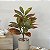 Planta Artificial Croton 30 - 35 cm - Imagem 4