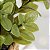 Plantas Artificiais Arranjo Eucalipto Grama 10 - 11cm - Imagem 15
