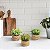 Plantas Artificiais Arranjo Eucalipto Grama 10 - 11cm - Imagem 22