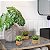 Plantas Artificiais Arranjo Eucalipto Grama 10 - 11cm - Imagem 14