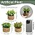 Plantas Artificiais Arranjo Eucalipto Grama 10 - 11cm - Imagem 12