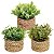 Plantas Artificiais Arranjo Eucalipto Grama 10 - 11cm - Imagem 7