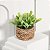 Plantas Artificiais Arranjo Eucalipto Grama 10 - 11cm - Imagem 13